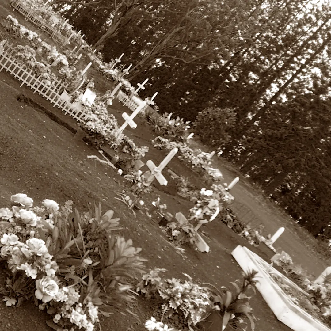 Old photo of a cemetery, with numerous white crosses marking the graves. The scene is peaceful, with rows of crosses stretching across the landscape, evoking a sense of solemnity and remembrance.