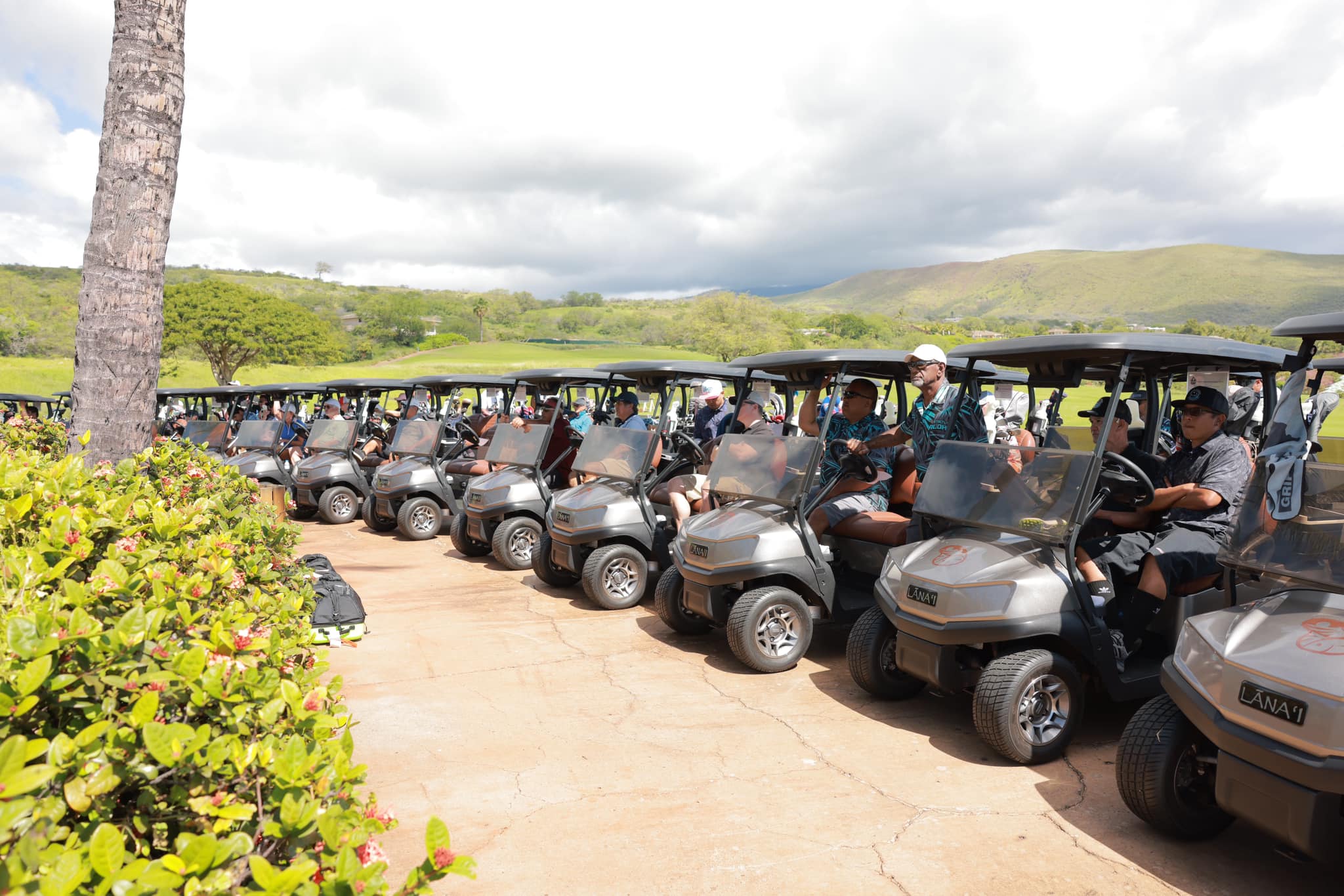 Golf Cart Line Up