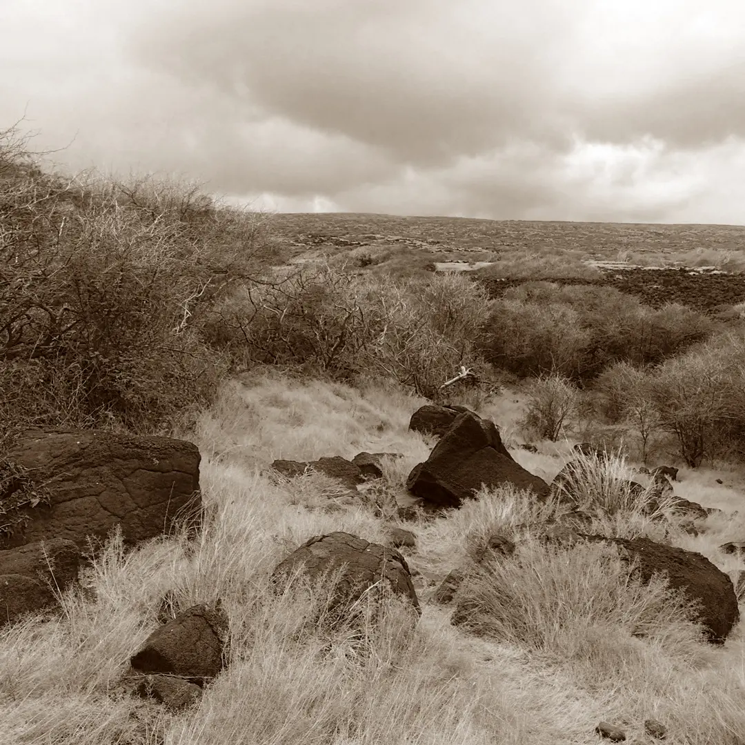 Old photo of a field of grass with the dramatic Lanai clouds in the sky. The expansive field stretches across the foreground, while the clouds above create a striking contrast, capturing the natural beauty and ever-changing skies of Lanai.