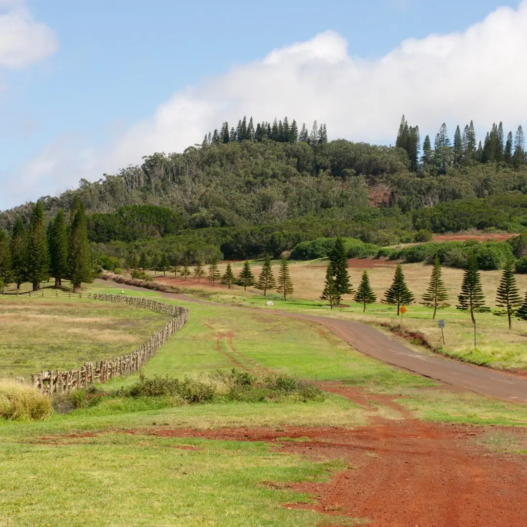 Changing Landscapes on Lāna‘i