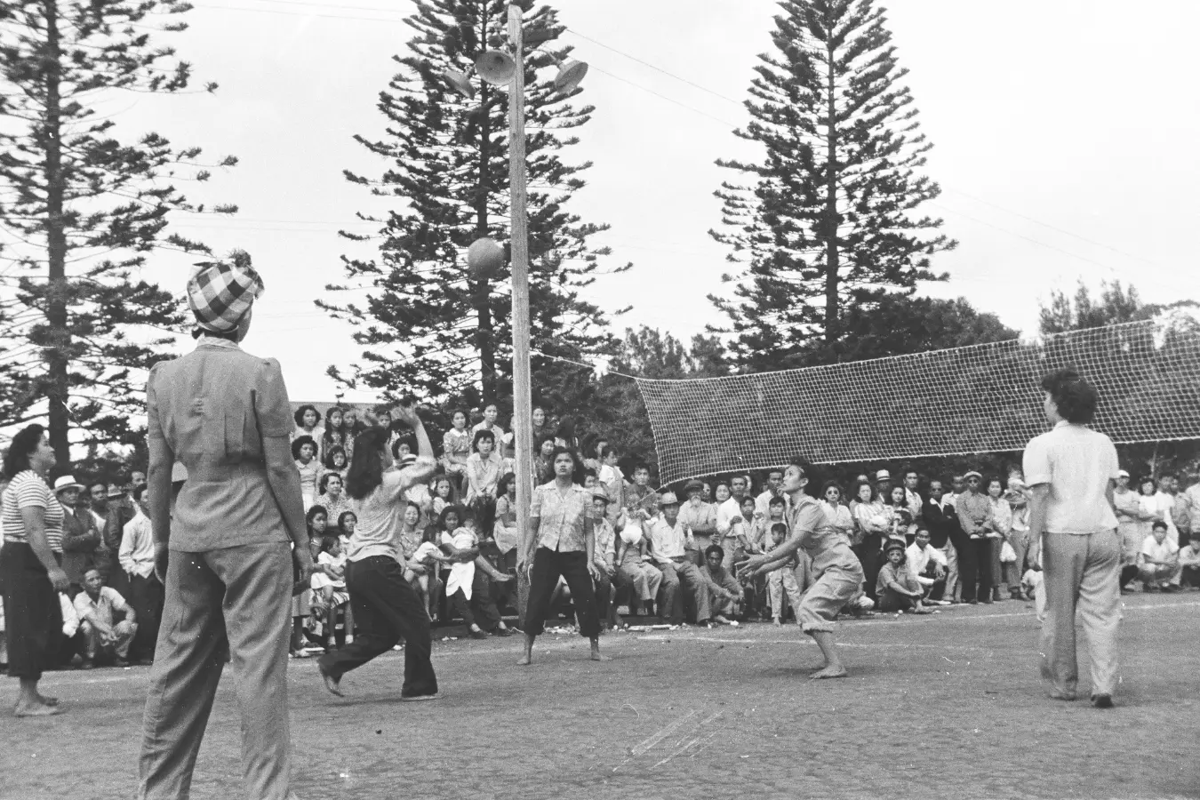 Black and white photo of Hawaiian women playing volleyball, with focused expressions as they compete. In the background, bleachers are filled with spectators watching the game, capturing a lively moment of community and athleticism.