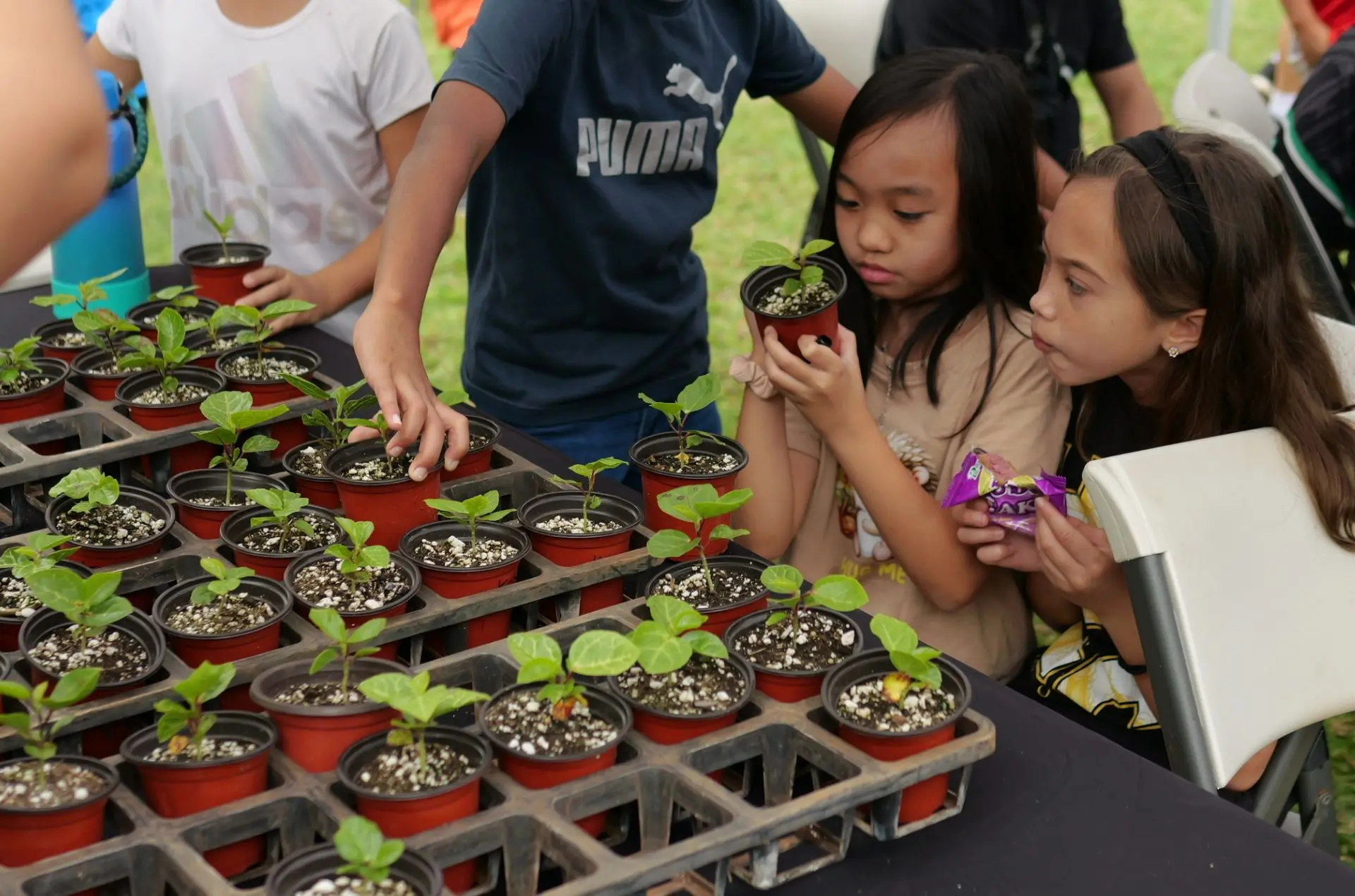 2 little girls looking at plants.
