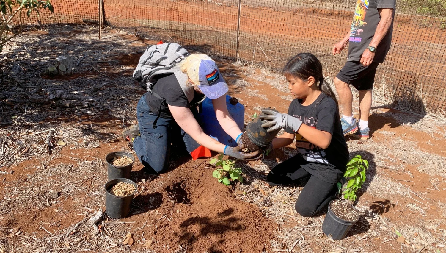 Volunteers planting trees at Kānepuʻu