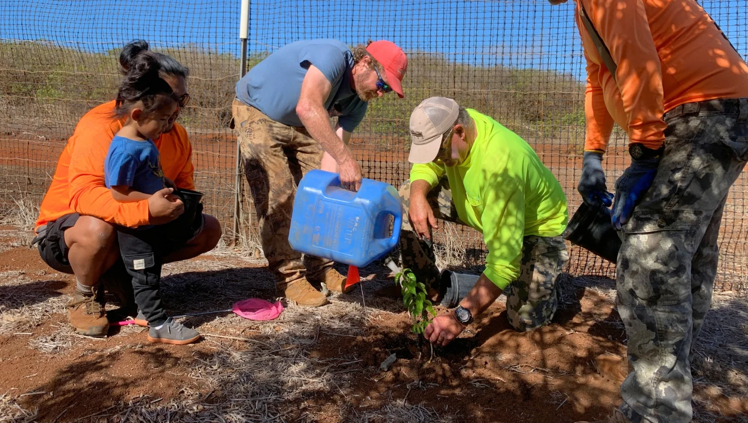 Volunteers planting trees at Kānepuʻu